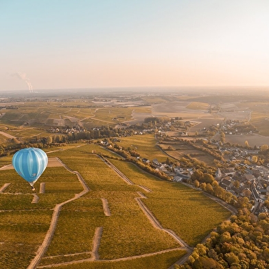 Domaine Raimbault-Pineau
