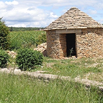Aire de pique-nique de Serrigny - LADOIX-SERRIGNY