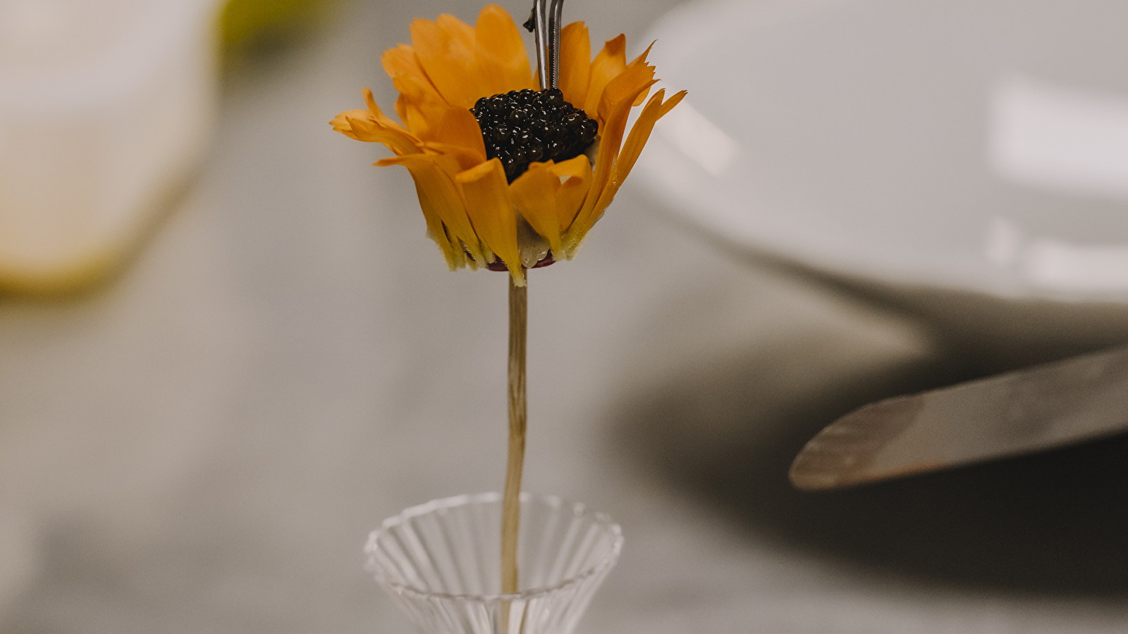 Erre - Domaine du Roncemay