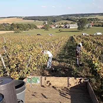 Les coteaux d'Hugier - HUGIER