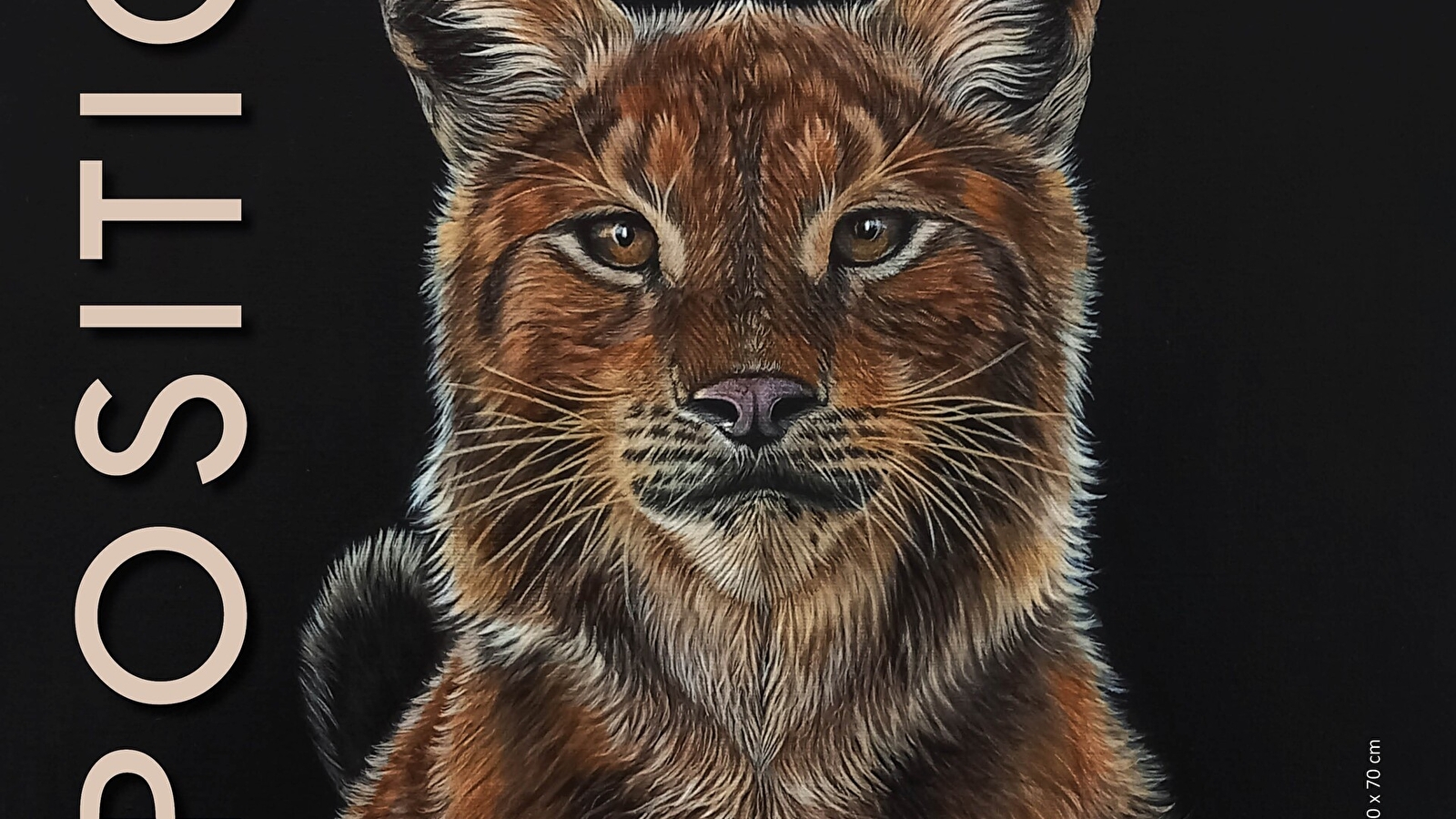 Exposition La Faune sauvage