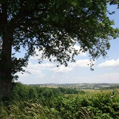 Entre canal et campagne