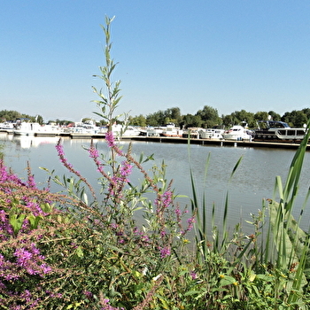Aire de pique-nique - Bord de Saône - AUXONNE
