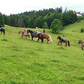 Centre Équestre Les Seignes - LES GRAS