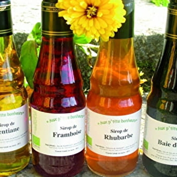 Aux P'tits Bonheurs - CHAUX-DES-CROTENAY