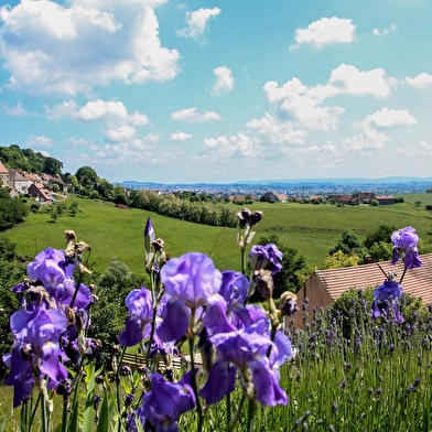 La boucle des 4 communes