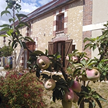 Visitez un jardin sans pétrole et une maison en auto-production - FLEURY-LA-VALLEE