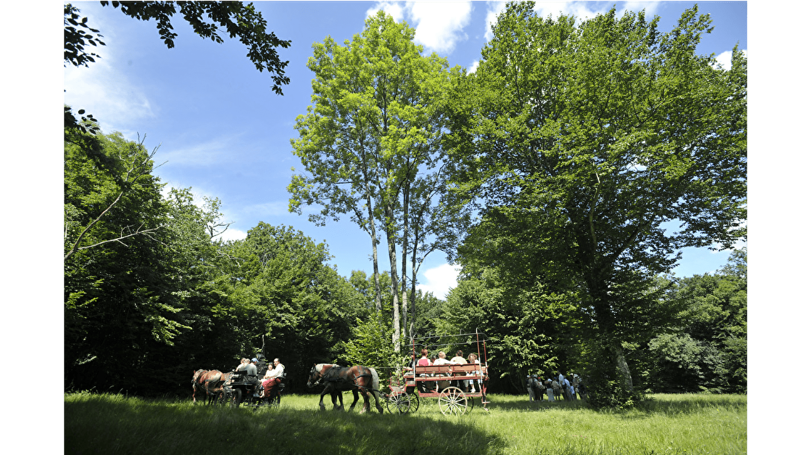 La Fontaine des Acacias
