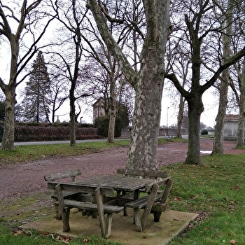 Aire de pique-nique Champ de foire - PALINGES