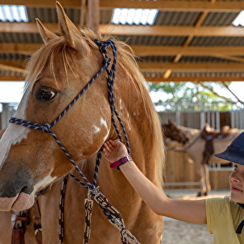 Cluny Horse Valley - CORTAMBERT