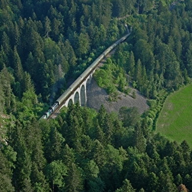 Ligne des Hirondelles de Saint-Laurent à Saint-Claude - Offre groupe