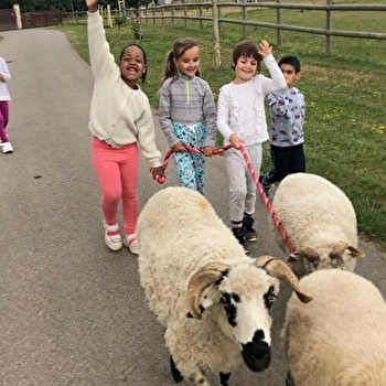 Classe Pleine Nature en Bourgogne  - DAMPIERRE-SOUS-BOUHY