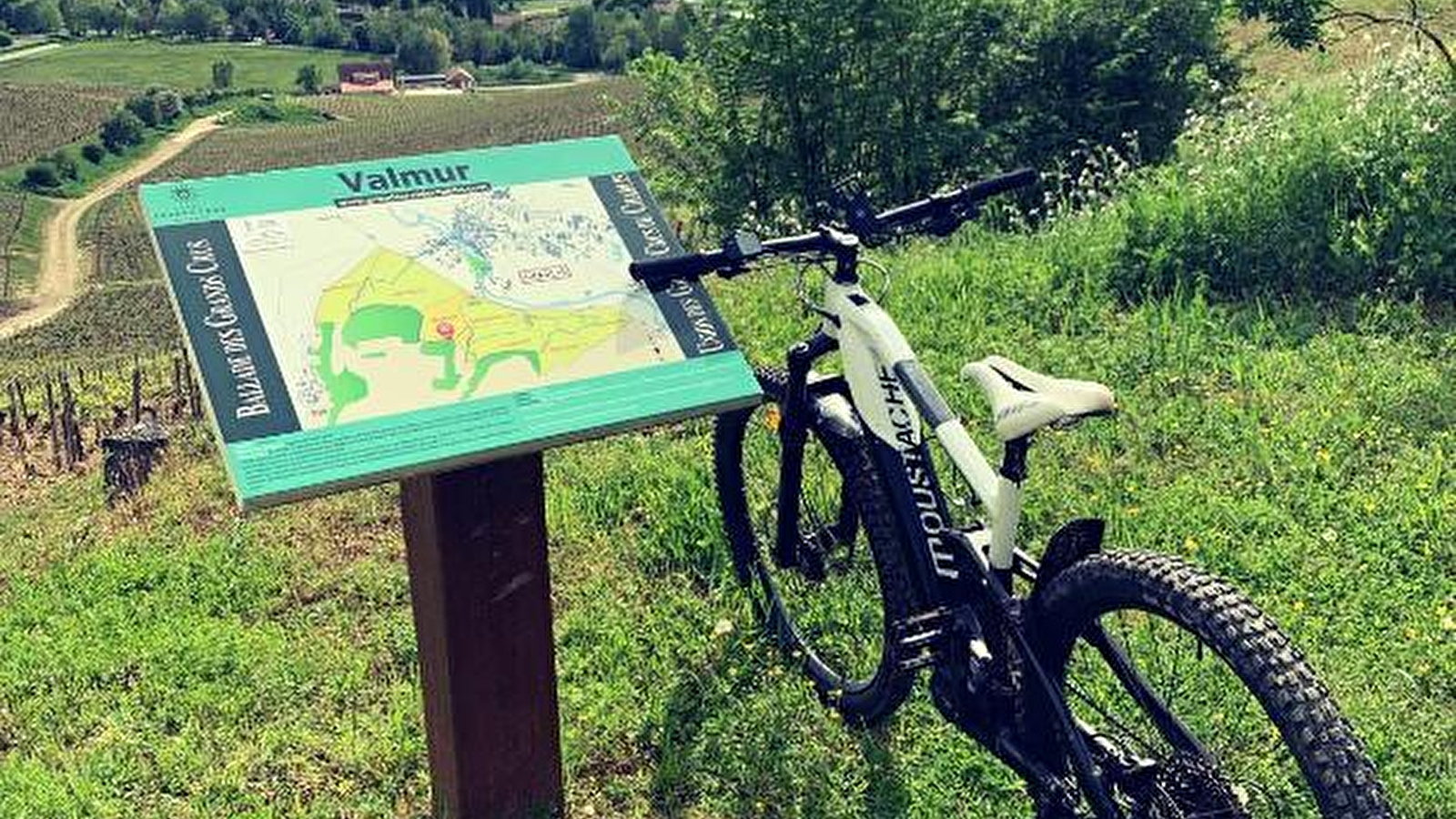 Location de VTT à assistance électrique - À la découverte du vignoble Chablisien avec Marc Colin