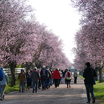 Rando Club Châtillonnais - CHATILLON-SUR-SEINE