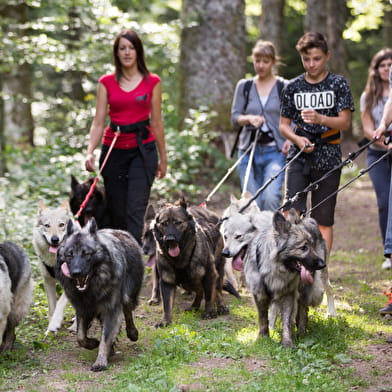 La Légende du Loup Noir