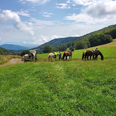 Les sabots dans l'eau