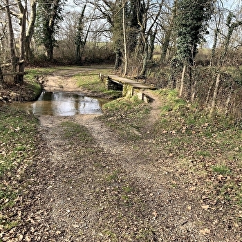 Sentier du château de Beauvoir - SAINT-POURCAIN-SUR-BESBRE