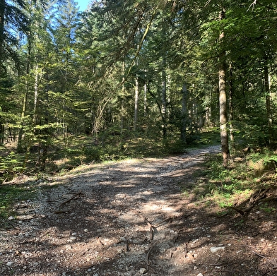 Randonnée - Sur Echallon par le monument du Maquis