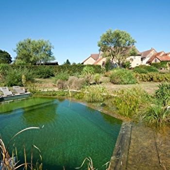 Les Grenouilles - SAINT-AUBIN-EN-CHAROLLAIS