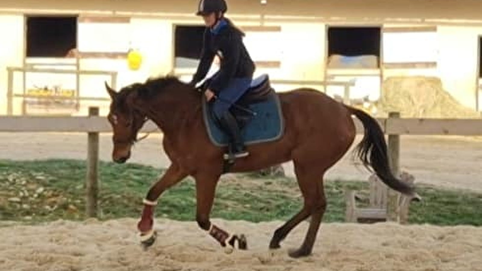 Centre équestre de Champignelles