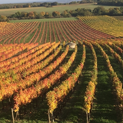 A CHACUN SON ESCAPADE