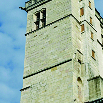 Dijon Bourgogne Tourisme & Congrès - Service Guides - DIJON