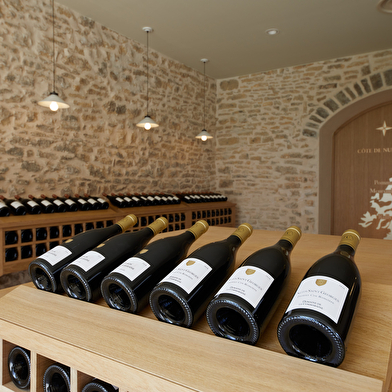 Dégustation Immersion - Manoir des Parcellaires de Saulx