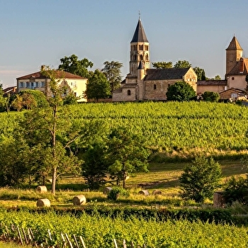 Entre blanc et rouge - Chânes - CHANES