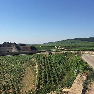 Bruno SOTTY- À chacun son escapade