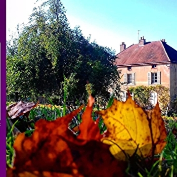 Le Manoir des vieilles vignes - VILLERSEXEL