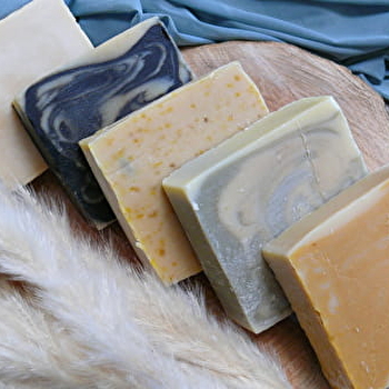 Les ânesses de la côte du puits - BURE-LES-TEMPLIERS