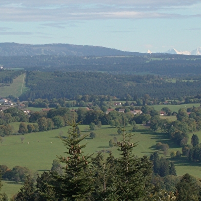 Le Faux Verger - n°19