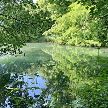 Chalet au bord de l'eau - SAUVIGNY-LES-BOIS