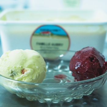 GAEC Aubry - FOUGEROLLES-SAINT-VALBERT