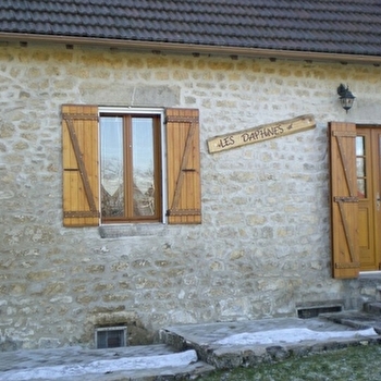 Les Daphnés - LOULLE