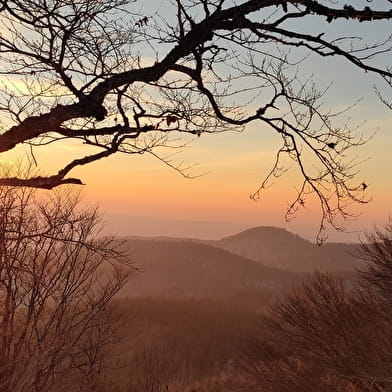 Belvédère des Arboux