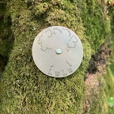 Sentier Lucienne Haese dite 'Lulu du Morvan'