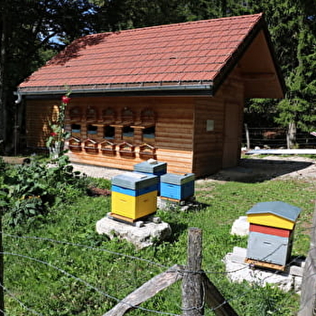 Le Rucher du Bayard - FONCINE-LE-HAUT