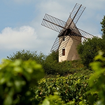 Moulin Sorine - SANTENAY
