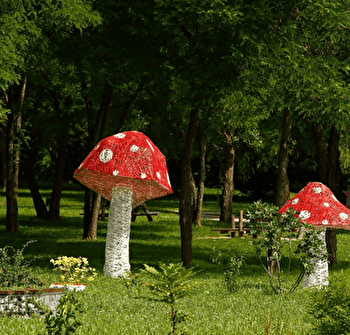 Parc Bellevue / Parc de la biodiversité - CHALON-SUR-SAONE