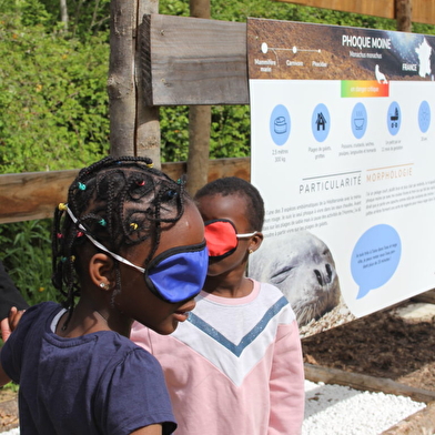 Sentier pieds nus à la Pyramide du Loup