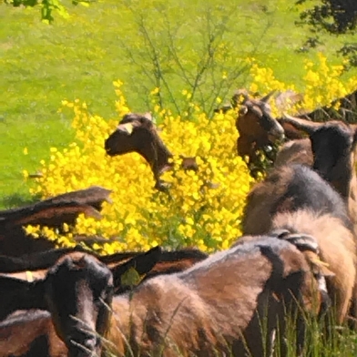 Les Coulisses du Terroir - La Ferme des Terres