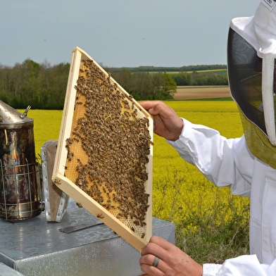 Les Ruchers au Gray du vent