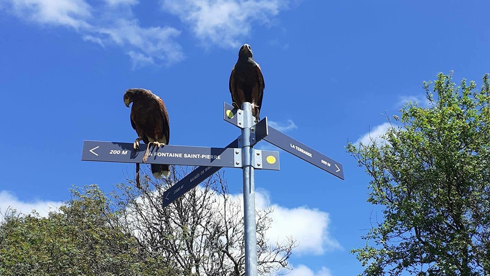 L'Echappée Morvan d'Ailes - Rando en liberté