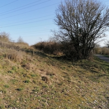 Lieu de parachutage - Seconde Guerre mondiale - CURTIL-SOUS-BURNAND