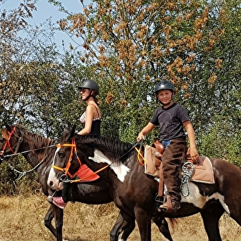Ferme équestre élevage Juan - FAY-EN-MONTAGNE
