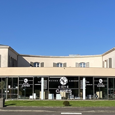 Maison André Goichot – Côté Caves :  Visite Dégustation « prestige » (6 vins)