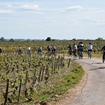Velovitamine - Balade Oenologique à vélo 'Côte de Nuits 1er Cru' Dijon à Gevrey-Chambertin - Dijon
