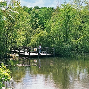 Espace de loisirs de Melay - MELAY