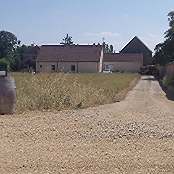 Bonin Jean Luc - CORCELLES-LES-ARTS